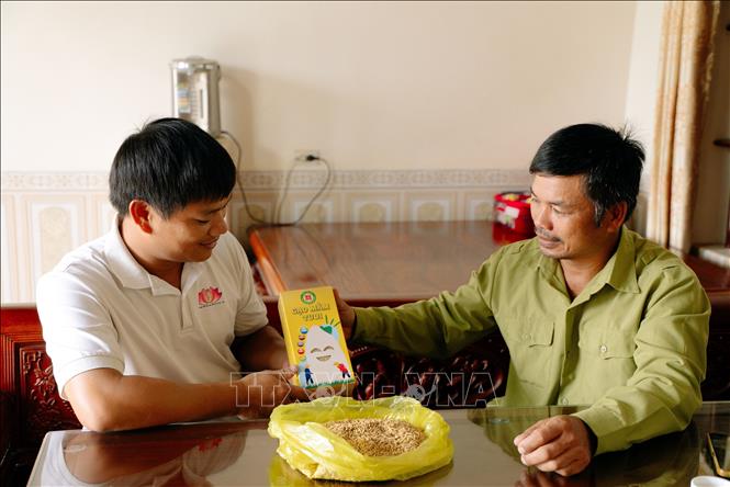 Anh Lương Văn Trường (trái) giới thiệu sản phẩm gạo mầm tươi. (Ảnh: TTXVN phát)